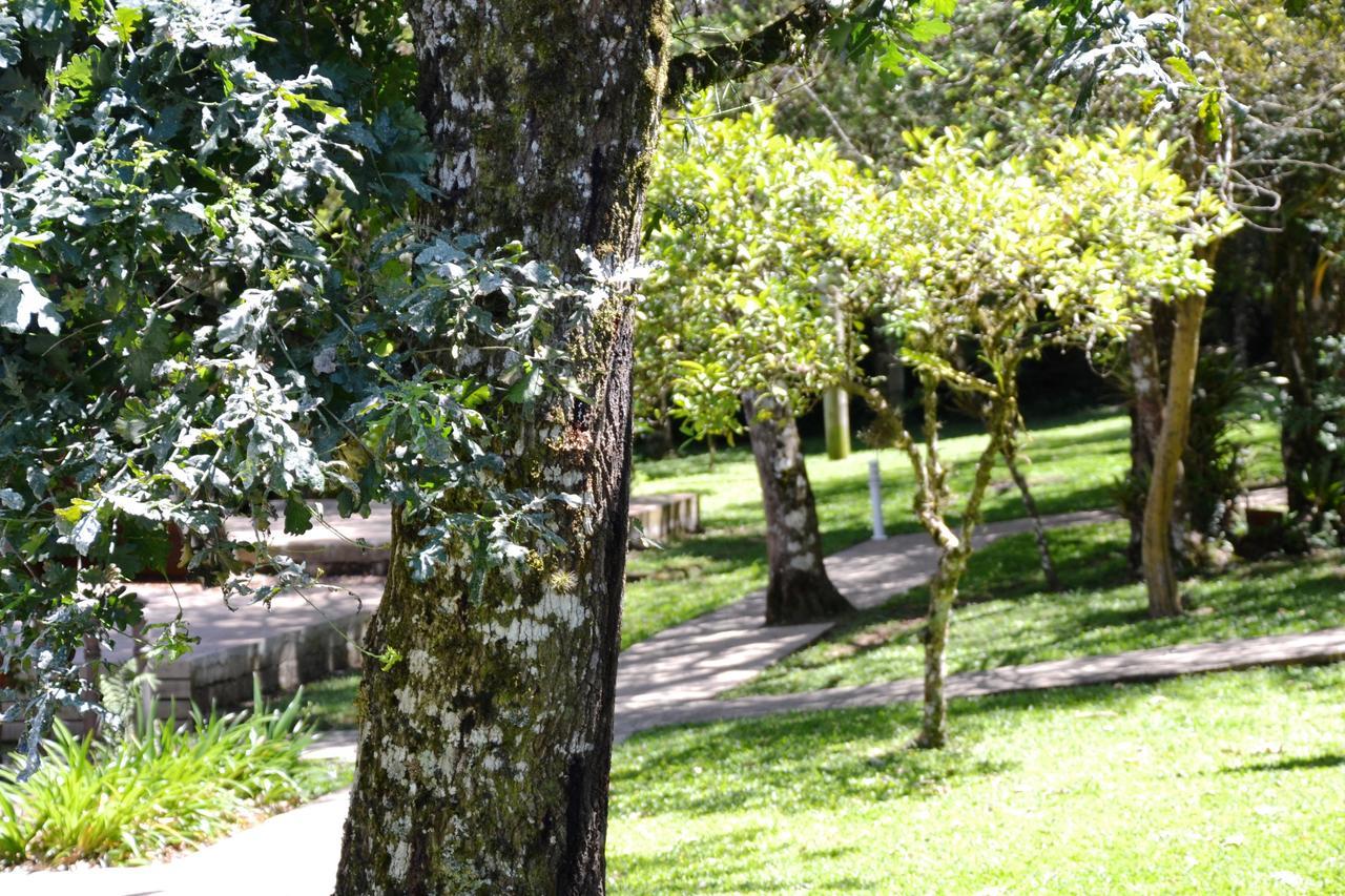 Hotel Pousada Dos Pinheiros Canela Buitenkant foto